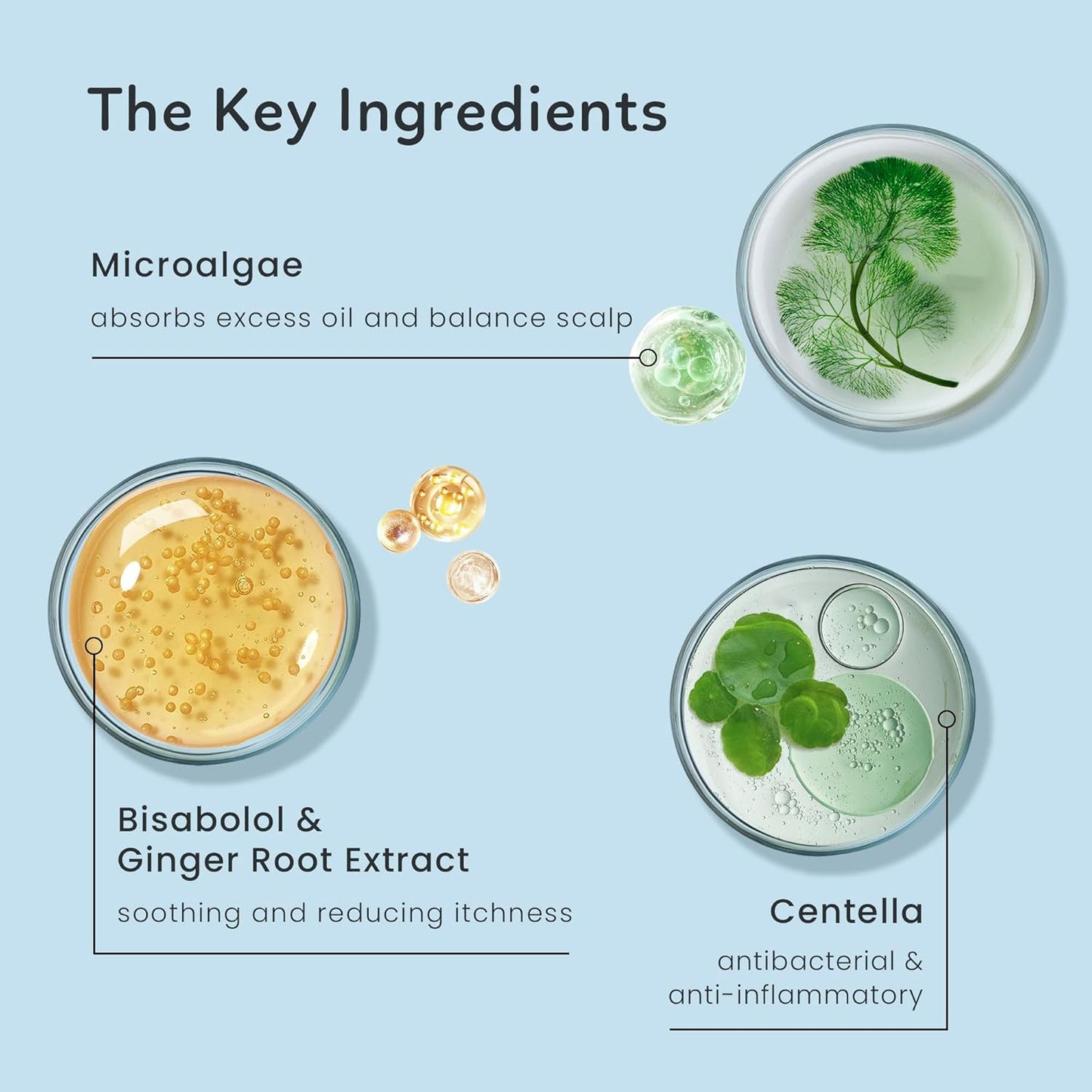 Amaxy Volumizing Dry Shampoo Gel